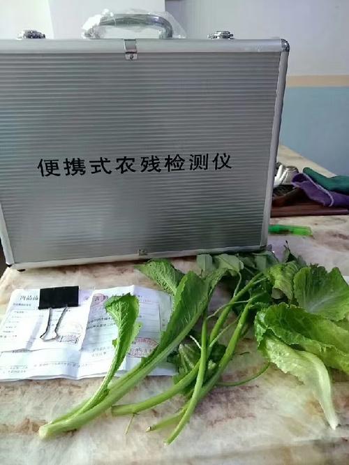 深圳福田工厂蔬菜批发配送生鲜批发服务——高效、新鲜、一站式供应